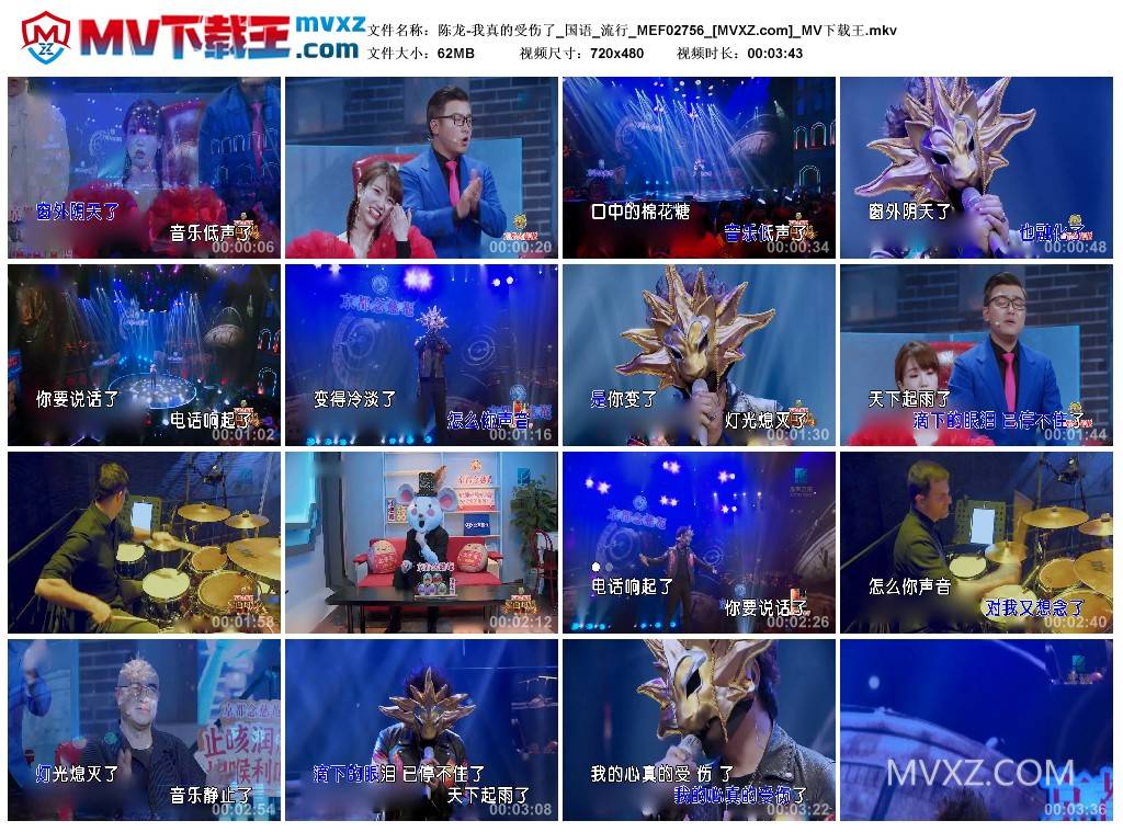 陈龙-我真的受伤了_国语_流行_MEF02756